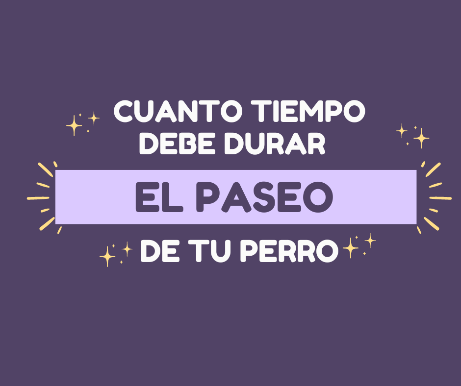 Cuánto tiempo debe durar el paseo de tu perro