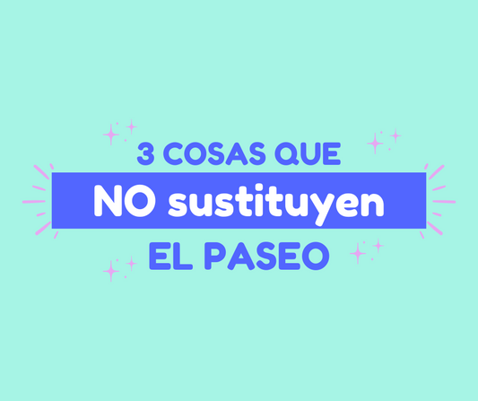 3 cosas que NO sustituyen al paseo