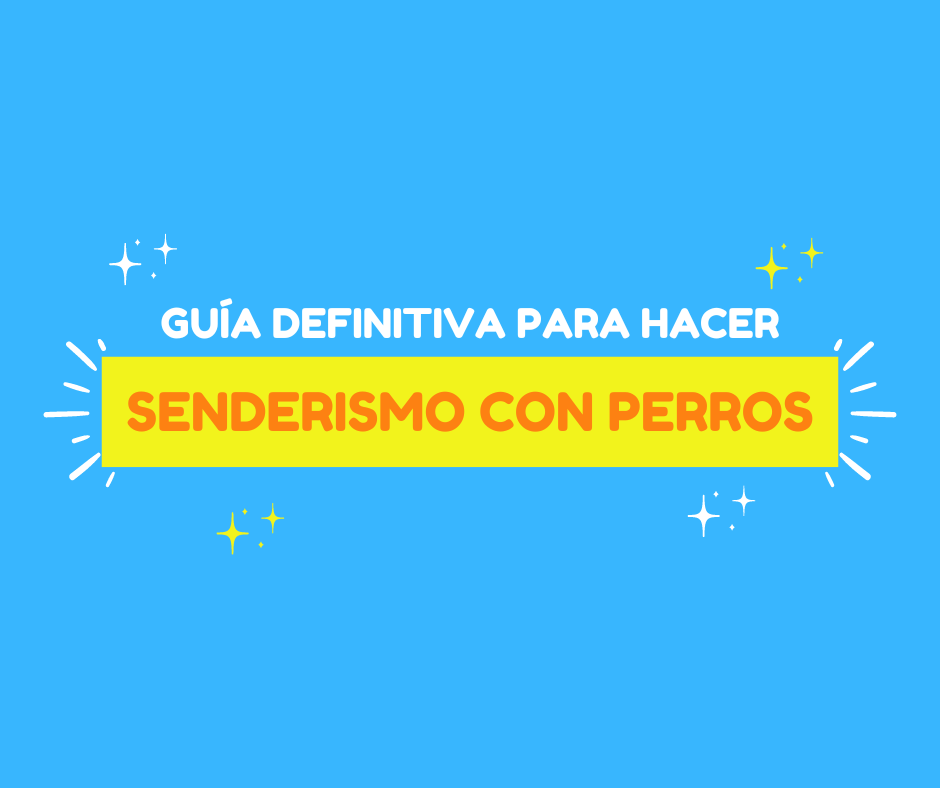 Guía defintiva para hacer senderismo con perros