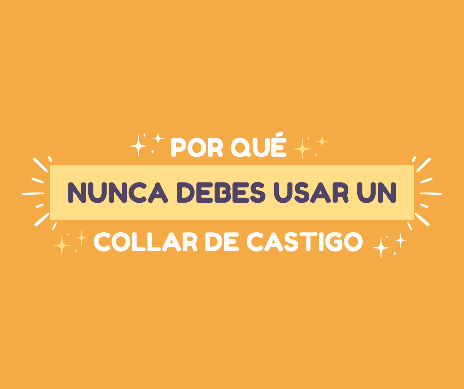 Por qué nunca debes usar un collar de castigo en tu perro